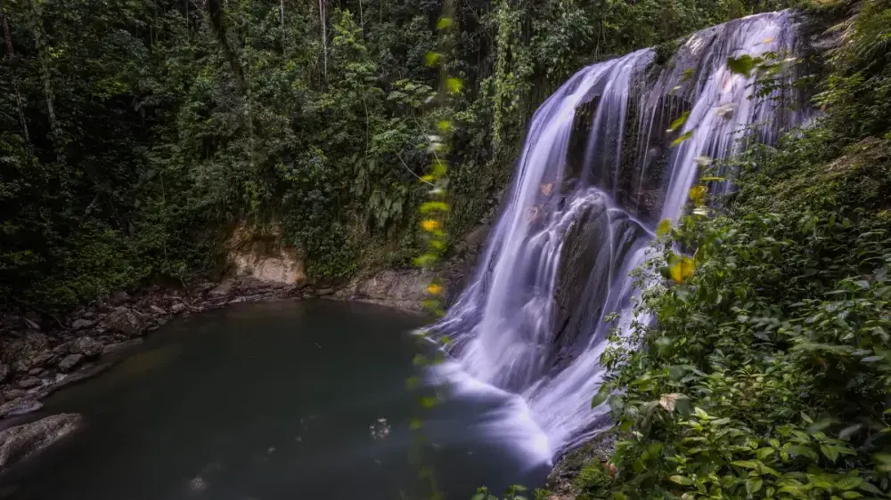 Lush tropical cascade and natural plunge pool surrounded by green jungle vegetation at Gozalandia Waterfall Puerto Rico