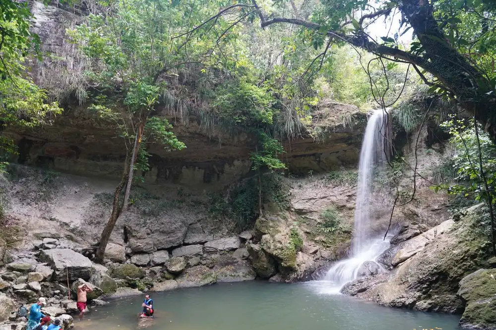 Natural spring-fed limestone rock swimming pool at Gozalandia Waterfall in Puerto Rico