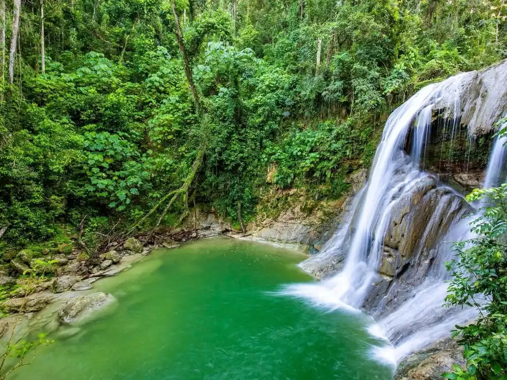 Secluded southern coast and tropical mangrove waters on a Puerto Rico waterfall day tour